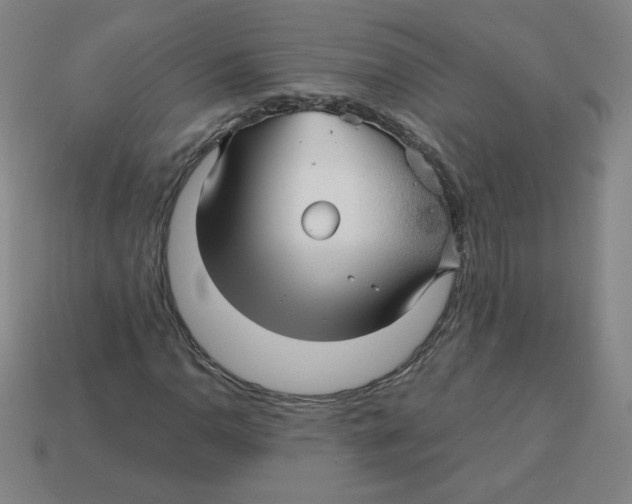 X0000113161110200910021455