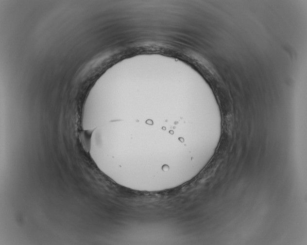 X0000113161111200910021455