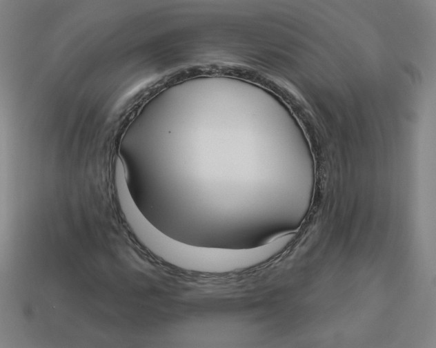 X0000113161112200910021455