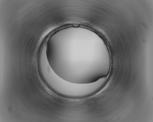 X0000113161114200910021455