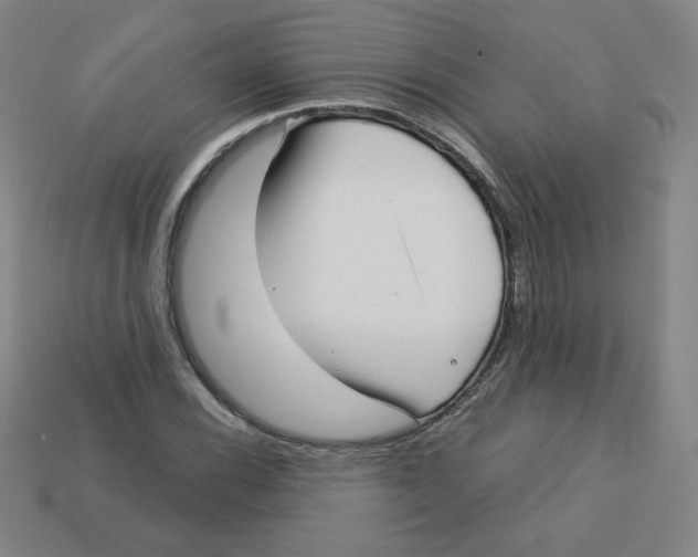 X0000113161116200910021455