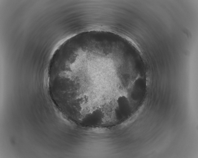 X0000113161117200910021455