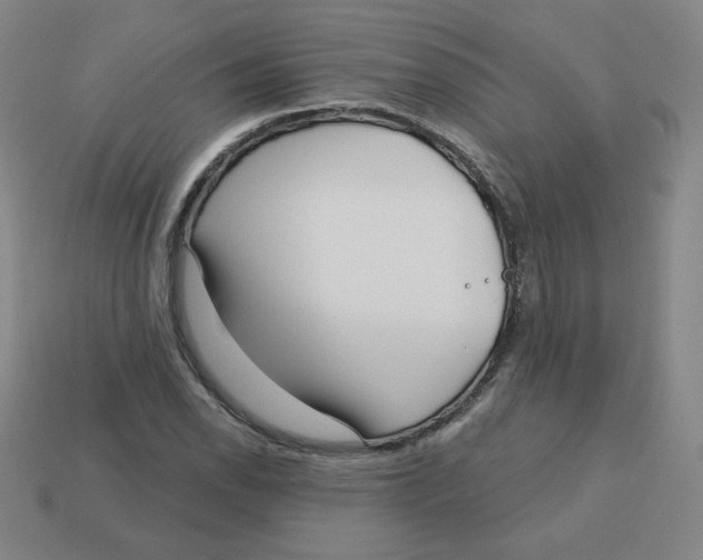 X0000113161118200910021455