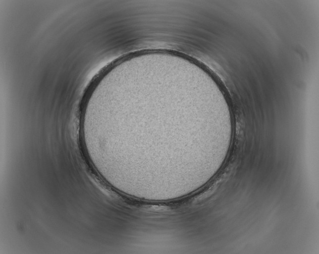 X0000113161119200910021455