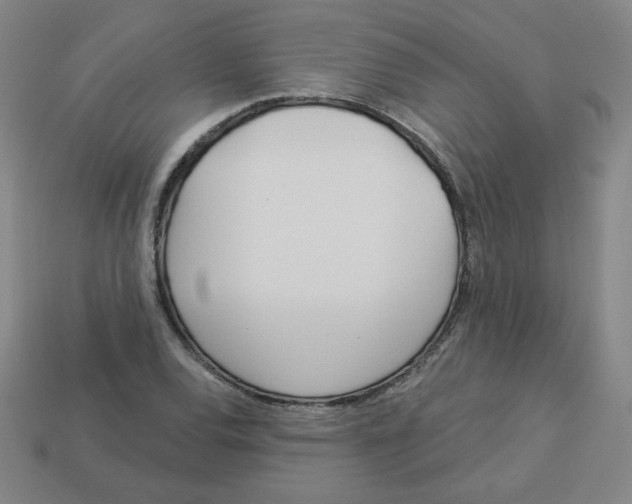 X0000113161120200910021455