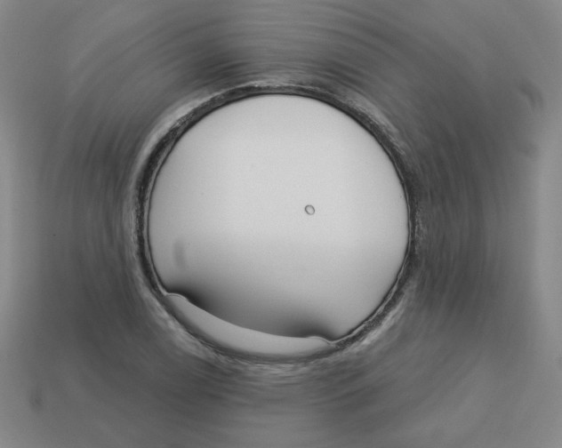 X0000113161122200910021455