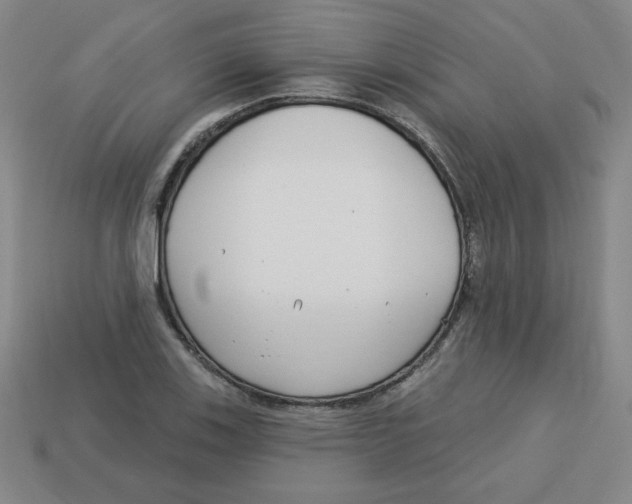 X0000113161123200910021455