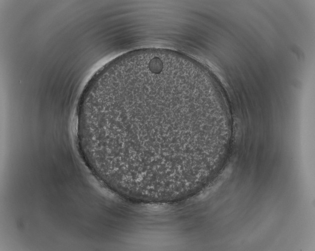 X0000113161125200910021455