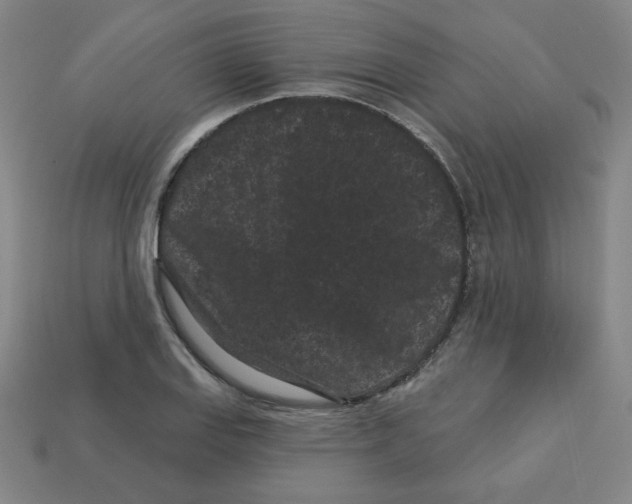 X0000113161127200910021455