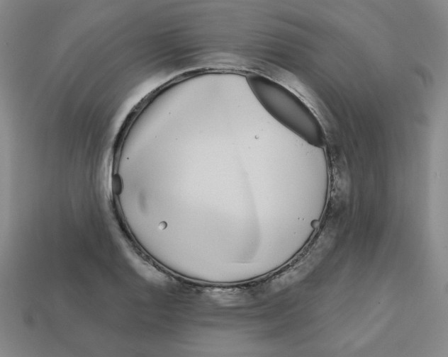 X0000113161128200910021455