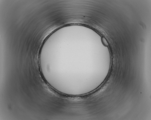 X0000113161129200910021455