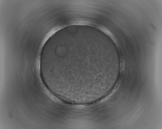 X0000113161130200910021455