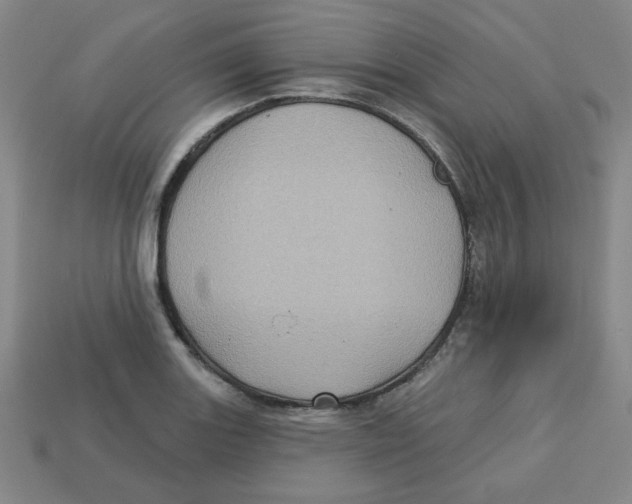 X0000113161131200910021455