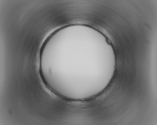 X0000113161132200910021455