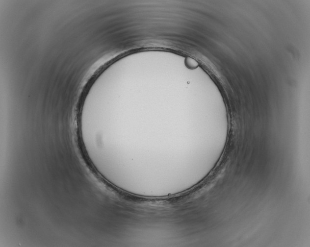 X0000113161133200910021455