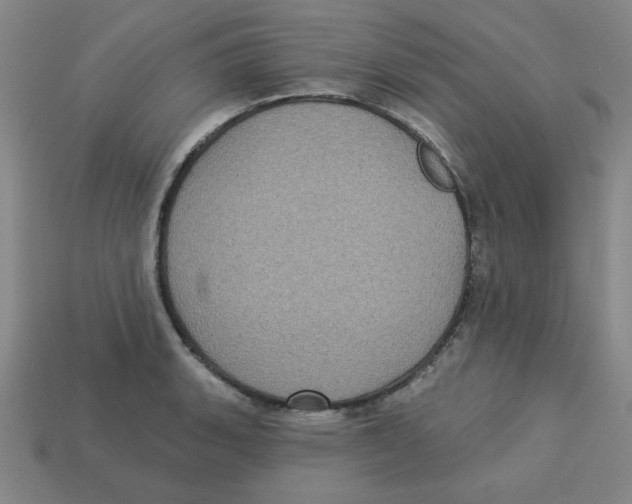 X0000113161135200910021455