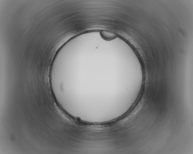 X0000113161137200910021456