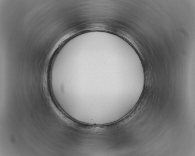 X0000113161139200910021456