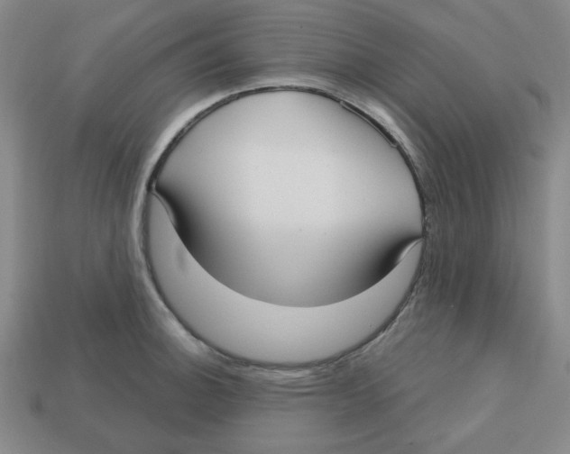 X0000113161140200910021456