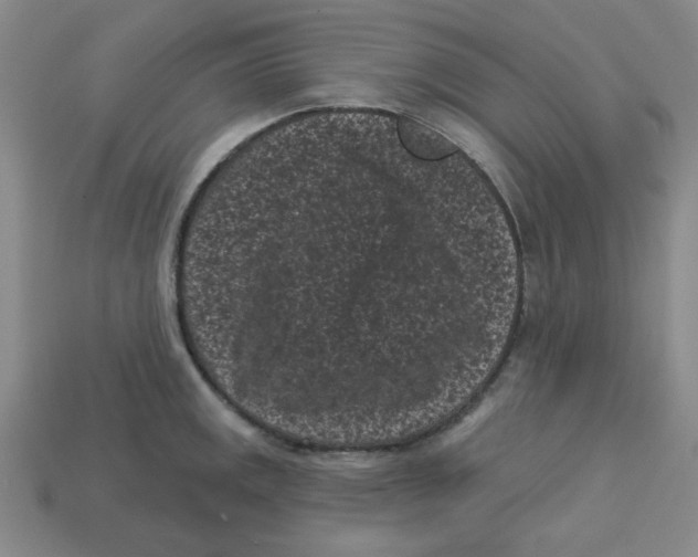 X0000113161141200910021456