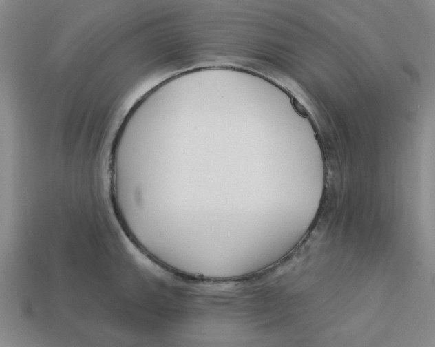 X0000113161143200910021456