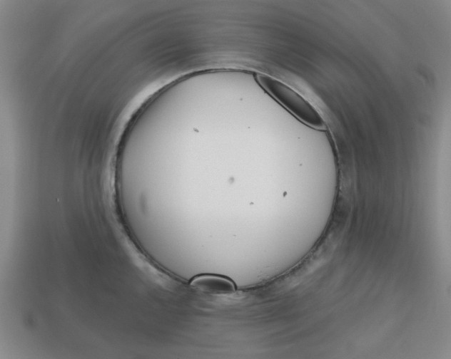 X0000113161144200910021456