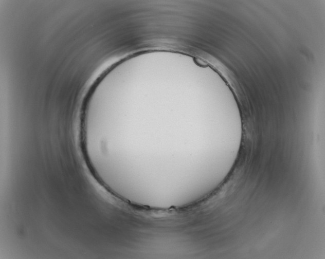 X0000113161147200910021456