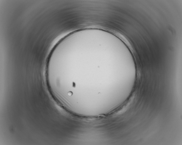 X0000113161149200910021456