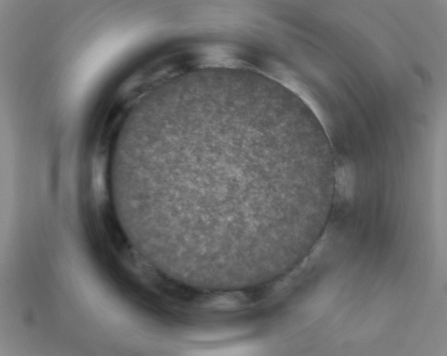 X0000113161150200910021456