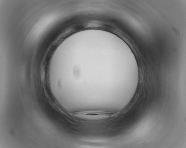 X0000113161151200910021456