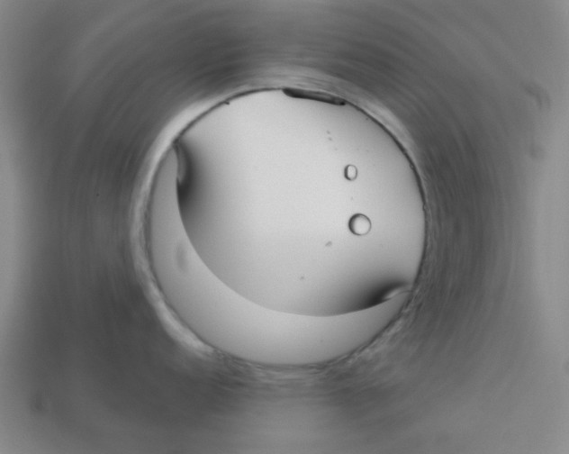 X0000113161152200910021456