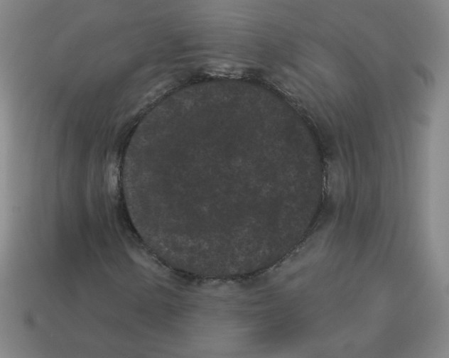 X0000113161154200910021455