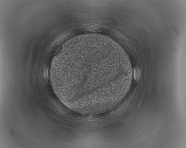 X0000113161155200910021455