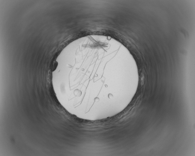 X0000113161156200910021455