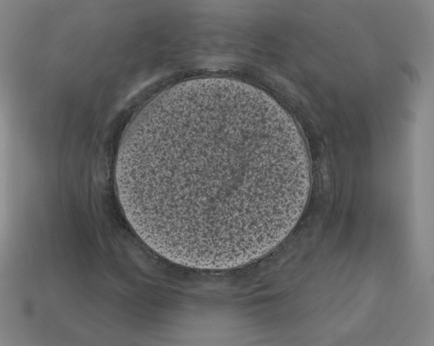 X0000113161158200910021455