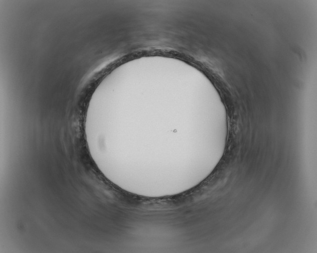 X0000113161159200910021455