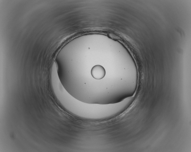 X0000113161161200910021455