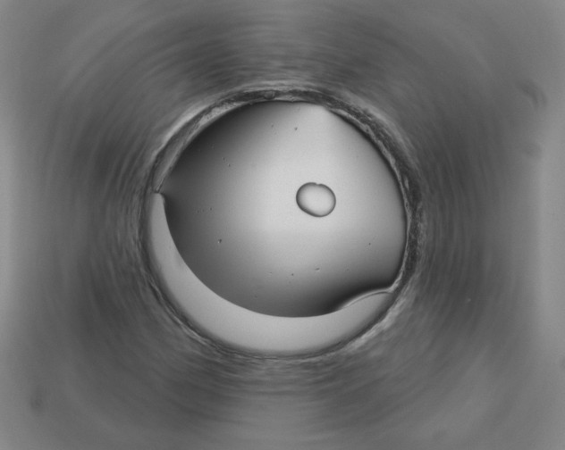 X0000113161162200910021455