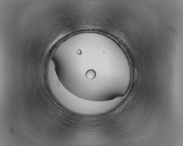 X0000113161165200910021455