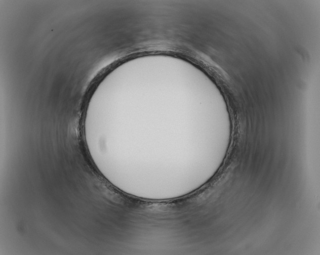 X0000113161166200910021455