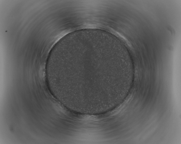 X0000113161170200910021455