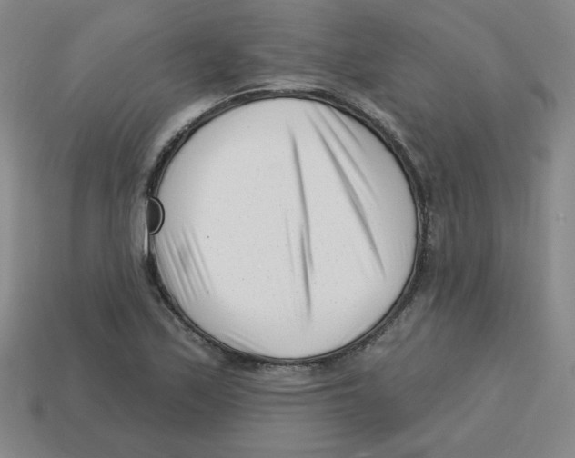 X0000113161171200910021455