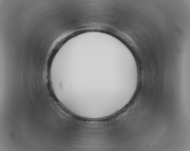 X0000113161172200910021455