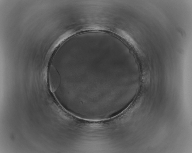 X0000113161173200910021455