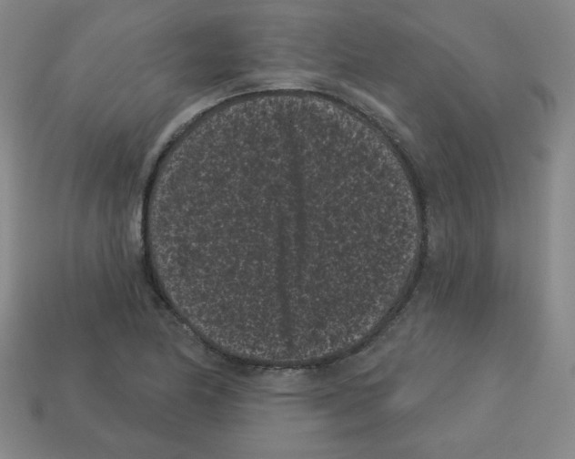 X0000113161174200910021455