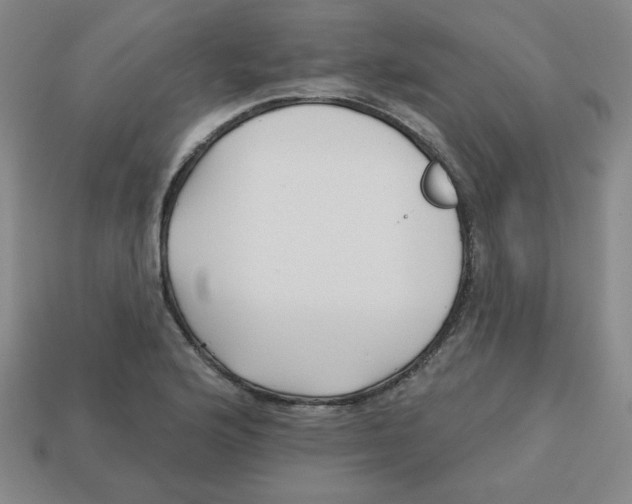 X0000113161176200910021455