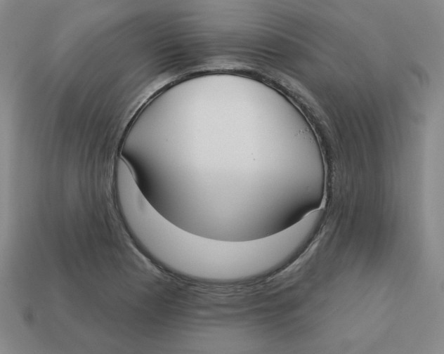 X0000113161177200910021455