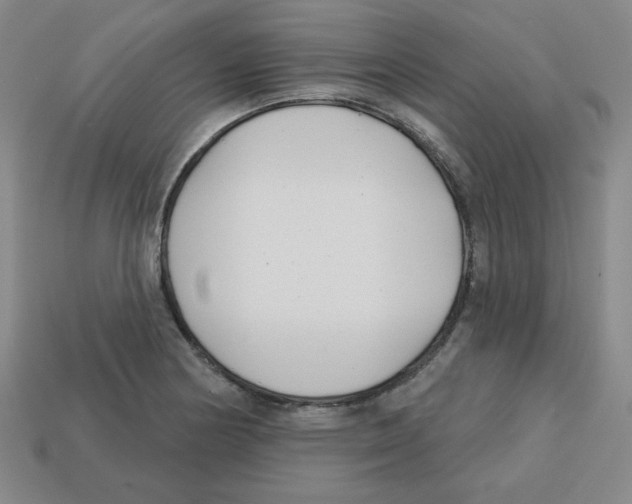 X0000113161178200910021455