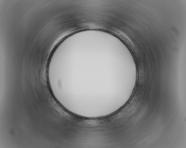 X0000113161182200910021455