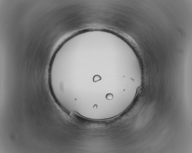 X0000113161183200910021455